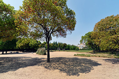 八重神子与丘丘人繁衍后代的视频：玩家创意引爆社区，原神角色与怪物衍生奇幻二创话题-2