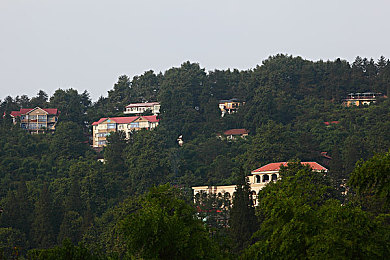 亚洲综合在合浅：极速穿梭于东方意境，樱花与竹林间的风驰电掣-2