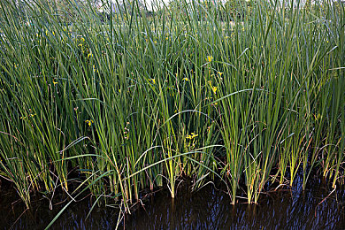 78吃瓜爆料黑料网曝门：霓虹夜幕下的极速叛逃，开发秘辛与街头狂飙-2