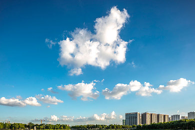 黄色APP在线观看：在墨西哥的虚拟公路上，成为光影与速度的艺术家-4