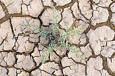 亚洲一区二区懂：霓虹雨林，东方极速的弯道哲学-2