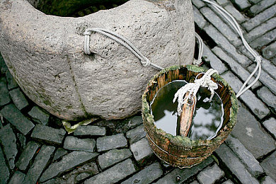 男女差差差app大全：极速天平创新竞速，性别差异驱动策略对决-3