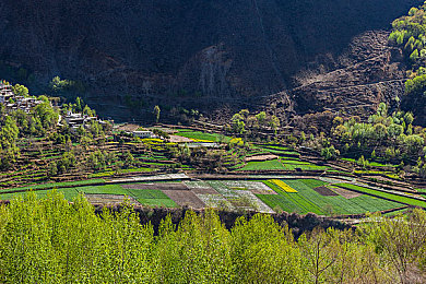 十大有风险的黄片软件:疾驰于代码边缘,虚拟引擎的道德博弈-2
