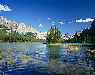 李蓉蓉爱豆女演员：虚拟偶像跨界赛车新游星途飞驰今日上线，双重职业系统引爆养成竞速热潮-3