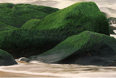 不要钱的不良软件：深夜地下赛事风险升级，极品飞车新作引入高回报违规改装系统