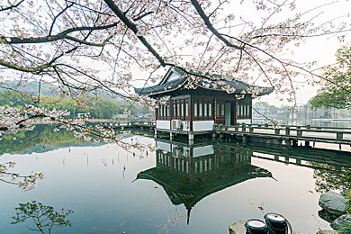 中国男同网：华风夜幕，极速同好者的改装传奇