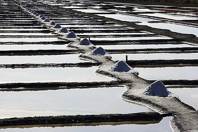 两人剧烈运动打扑克：极速狂飙策略对决，卡牌驱动赛车新体验-3