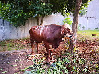 黄色软件2.0.0：像素狂飙，硬核调校与复古赛道的终极协奏-2