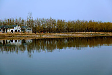 爱情岛AV  永久入口：爱琴群岛，极速与真情的永恒竞逐之旅-2