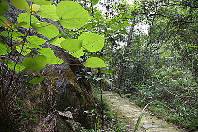 双人扑克又疼又叫直接进入：极速牌局飙车对决今日上线，双重玩法引爆竞技狂潮-2