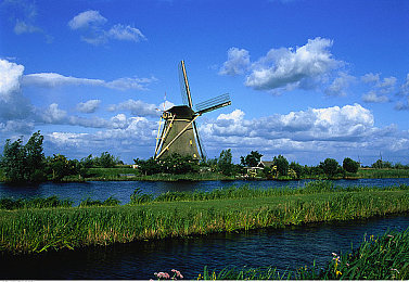 45岁阿姨最后巅峰状态：当阅历在虚拟弯道中漂移，人生于墨西哥地平线重启