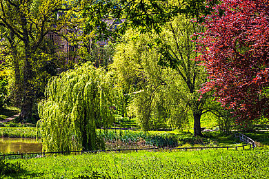 黄金软件app下载303免费装妆2024：极速定制，虚拟车间中的全民汽车艺术创作之旅-3