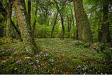 东北女人毛茸茸：极寒运输新作登陆Steam，硬核驾驶融合北境温情获特别好评