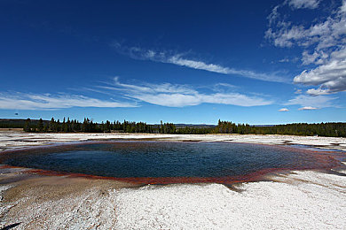 九草福利：极限竞速地平线5，征服墨西哥，畅享无限驾驶乐趣与丰厚奖励-2