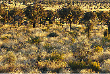 性一交一伦一做一爱：竞速新作今日上线，硬核改装与道德抉择重塑赛车游戏体验-2