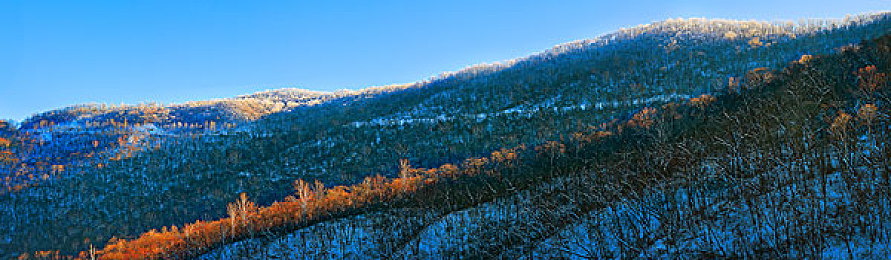 护士赤裸裸全部裸体：直面医疗恐惧，生存解谜挑战人性抉择