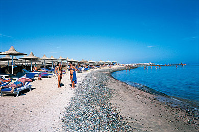 99热精品店：极限竞速地平线5全新攻略，打造你的终极车辆收藏馆-2