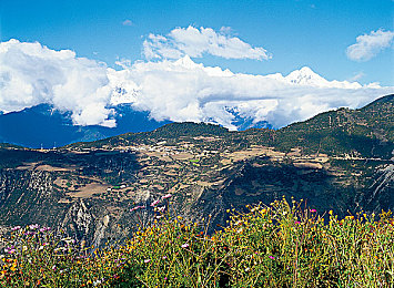 干狼人综合网：暗夜疾驰，谎言与引擎的终极博弈-1