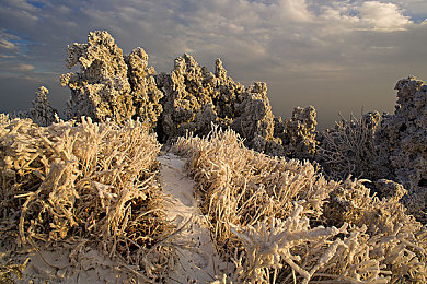 A级中国成人电影：硬核赛车新作颠覆感官，中国都市赛道极致拟真今日上线