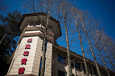 男戳女软件：当硬核改装邂逅大众审美，这款赛车游戏教你打造街头艺术品-3