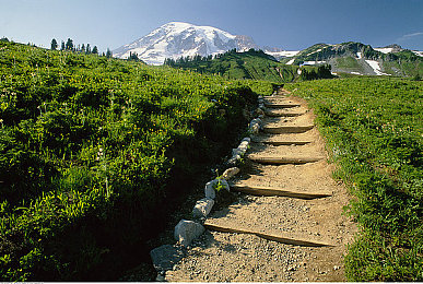 一区二区三区四区福利：征服地平线，解锁全境驾驶荣耀与馈赠-2