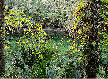 亚洲一区日韩：《极速地平线：亚洲风暴》今日上线，独家揭秘东方赛道制霸攻略