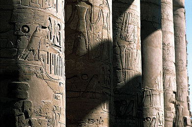 男生和女生差差差很痛的APP网站：极速对决，驾驭差异，超越性别的赛道艺术-1