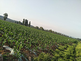 潘甜甜：极限竞速地平线5，在墨西哥的风驰电掣中品味视觉与操控的双重艺术