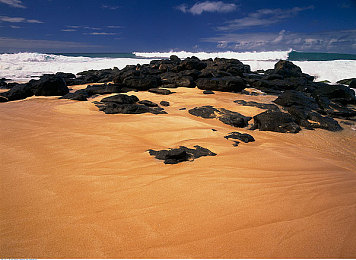 黄色软件免费安装:墨西哥画卷上的疾驰艺术,地平线五稀有涂装终极获取指南-2