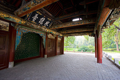 真人在床上萝卜：意识驾驶新游上线，用呼吸与心跳解锁竞速新维度