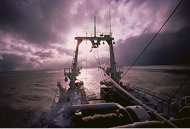 黄色软件下载OPPO3.03每天3次:极速幻想每日限时挑战,未来都市竞速引爆手游圈-2