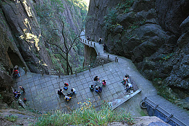 机机对机机软件：虚拟赛车调校全攻略，化身工程师决胜数字赛道-2