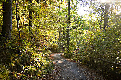 综合一区二区三区久日：征服全地形，地平线系列开放世界竞速终极攻略今日发布