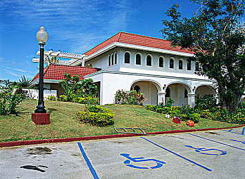 农村妇女树林日B：生存冒险新作今日上线，探索乡村隐秘禁区背后的真相