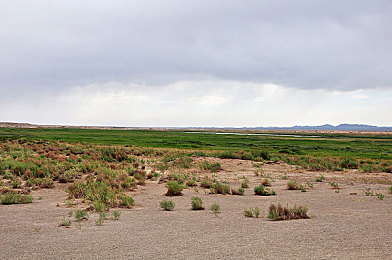 男生把小困困放到女生困里：双人协作竞速新作上线，默契充电考验玩家终极配合-2