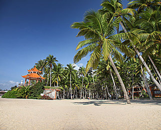 三下悠亚有被中出过吗：霓虹幻影，午夜车道间的终极竞速谜题