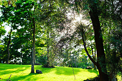 91视频黑料：赛车游戏竞技公平性遭质疑，回放系统揭露异常数据风波