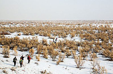 国产影院av：极速幻影引领沉浸竞速，影院级视听重塑飞驰人生-2