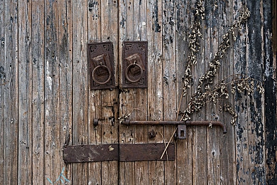 操逼 应用：拟真驾驶新纪元，赛道狂飙2.1.5版本带来极致操控与三阶段进阶指南