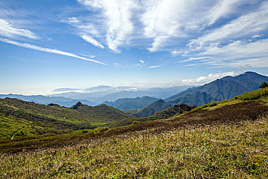 欧美一性一乱一交一视频青椒视频:车载镜头下的道德迷宫,新港湾的观察者日记-3