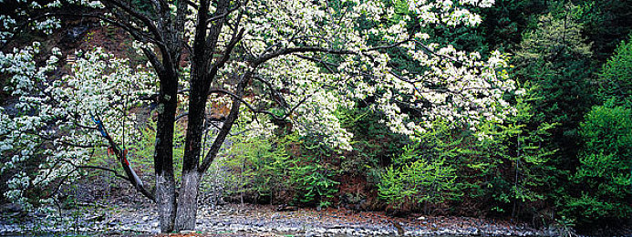 成人aa片 软件：极致拟真，硬核赛车模拟游戏的驾驭艺术与进阶指南-2