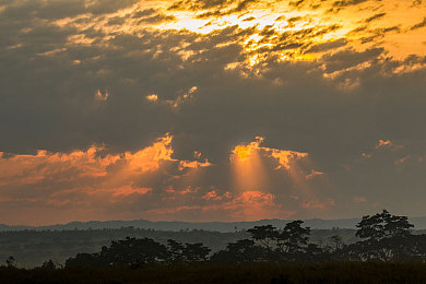 www黄色www:地平线5全新攻略,揭秘墨西哥黄金时刻专业驾驶技巧与调校心得-2