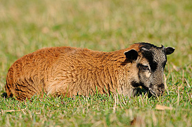 男生叉叉女生:双轨交织,风驰电掣间的默契与博弈-2