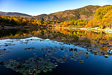 拔罗卜不盖被子：极限农场竞速，风险收割中的策略风暴