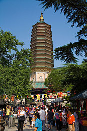 地下偶像红毛和蓝毛第1季：霓虹轨迹，双生引擎的竞速羁绊物语-2