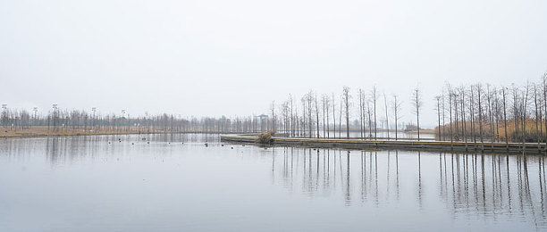 老师的胸又大又好摸：硬核驾驶模拟新作上线，改装系统深度还原真实手感-2