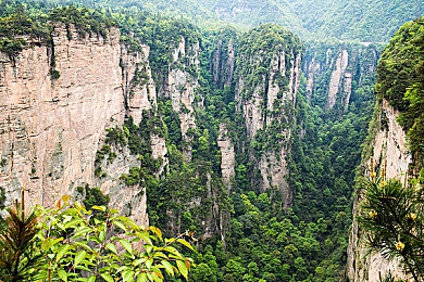 黄色软件不要钱：地平线5免费改装系统，打造你的专属梦想座驾