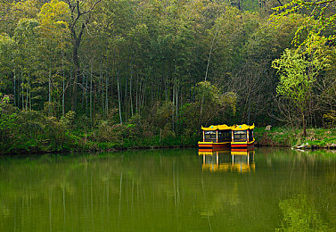 黄软件在线看：飙速骇客，用黑客视角破解街头赛车新玩法