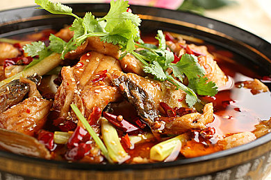 美女脱光了的视频软件：幻彩座驾，无限创意的视觉改装之旅