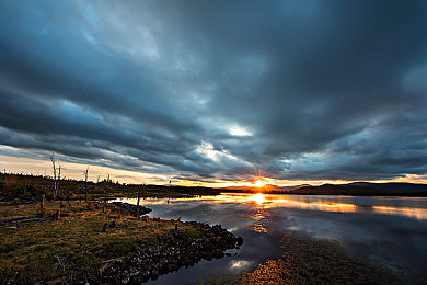 拔罗卜不盖被子：极限农场竞速，风险收割中的策略风暴-2